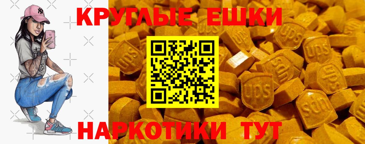 ЭКСТАЗИ бентли Гай