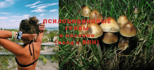 a pvp Беломорск