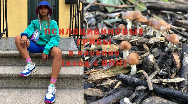 стаф Белоозёрский