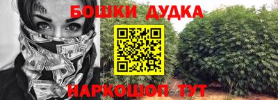 прущие крисы Кулебаки