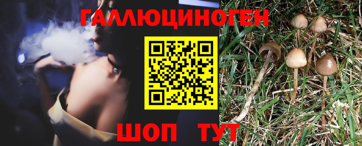 Галлюциногенные грибы MAGIC MUSHROOMS Гай