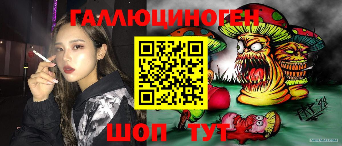 Галлюциногенные грибы Psilocybine cubensis  Галлюциногенные грибы Cubensis  Гай  Вход с VPN 