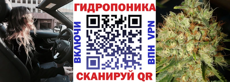 Бошки марихуана Ganja  Гай 